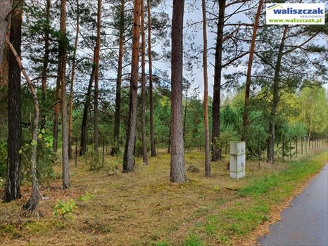 Działka budowlana na sprzedaż Ostrów 1 306m2 Foto 7