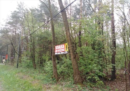 Działka budowlana na sprzedaż Prace Duże 1 456m2 Foto 2