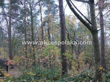 Działka budowlana na sprzedaż Żółwin 2 607m2 Foto 4