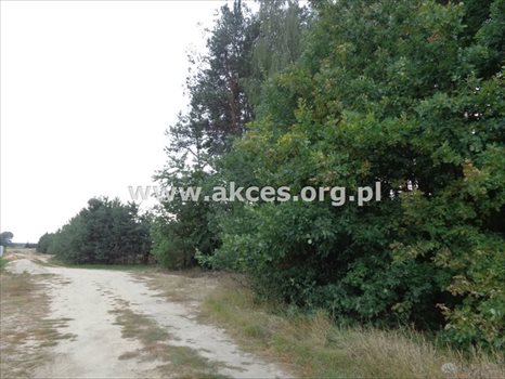 Działka budowlana na sprzedaż Prace Duże 1 445m2 Foto 2