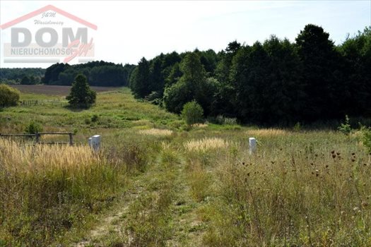Działka inna na sprzedaż Gudowo, Jezioro, Las, Przystanek autobusowy, Tereny rekrea 56 892m2 Foto 5
