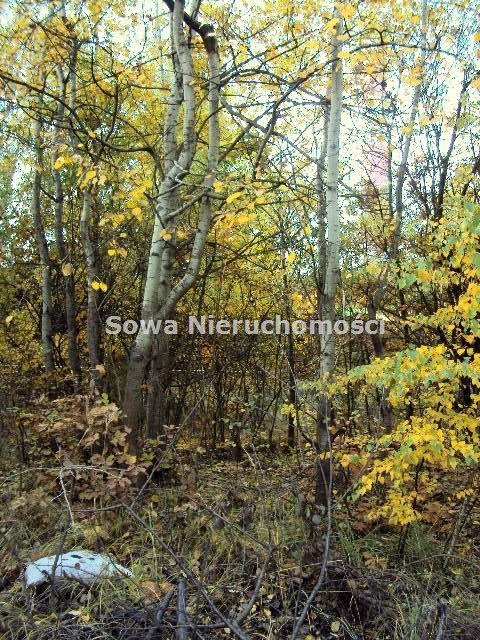 Działka budowlana na sprzedaż Wałbrzych, Piaskowa Góra 35 000m2 Foto 1