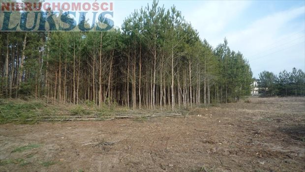 Działka budowlana na sprzedaż Prace Duże, Prace Duże 1 204m2 Foto 5