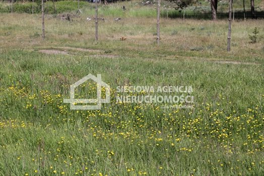 Działka budowlana na sprzedaż Lubowidz 1 160m2 Foto 8