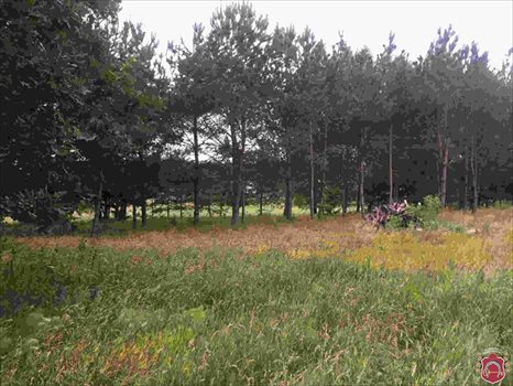 Działka budowlana na sprzedaż Koleczkowo, Łabędzia 2 169m2 Foto 10
