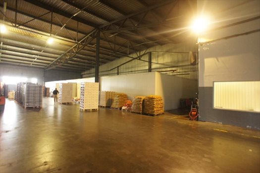 Lokal użytkowy na wynajem Poznań, Nowe Miasto, Szczepankowo, Pokrzywno 2 000m2 Foto 8