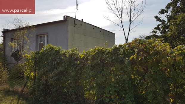 Działka budowlana na sprzedaż Biskupice 5 891m2 Foto 6