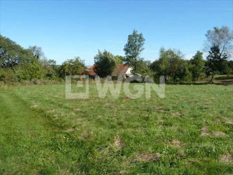 Działka budowlana na sprzedaż Księginice Małe, Jagodowa 5 000m2 Foto 7