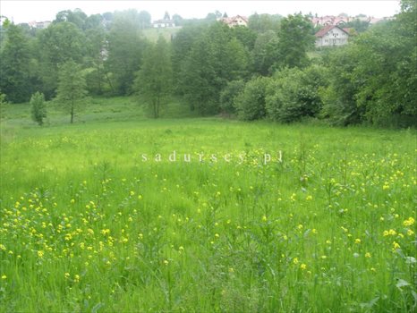 Działka rolna na sprzedaż Kraków, Podgórze, Romana Żelazowskiego 2 410m2 Foto 6