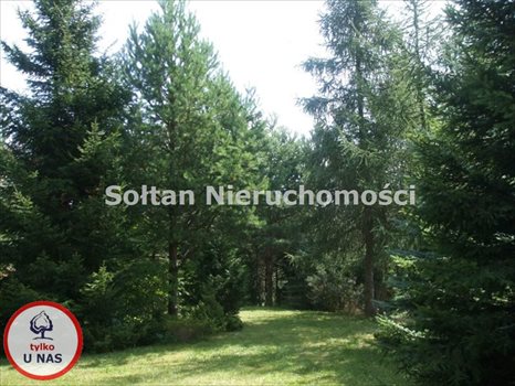 Dom na sprzedaż Dźwierzuty 180m2 Foto 10