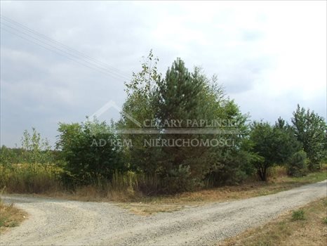 Działka budowlana na sprzedaż Nowodwór 2 800m2 Foto 4