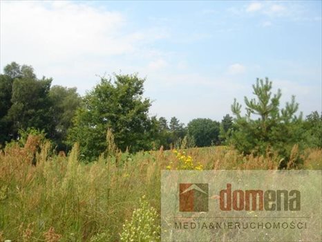 Działka budowlana na sprzedaż Bledzew, Elektrownia 1 000m2 Foto 4