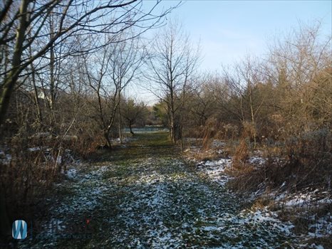 Działka budowlana na sprzedaż Warszawa, Wilanów Powsin, Zapłocie 1 000m2 Foto 3