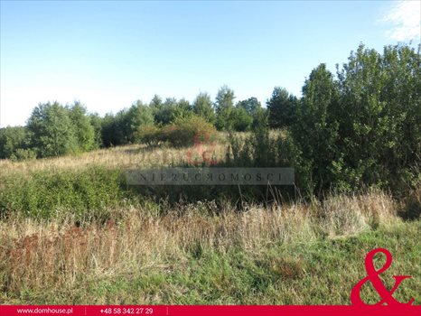 Działka budowlana na sprzedaż Nowa Wieś Przywidzka, Piastowska 3 052m2 Foto 2