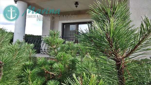 Dom na sprzedaż Karwia, Kościół, Las, Park, Pas nadmorski, Plac zabaw, Prz 238m2 Foto 2