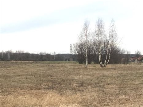 Działka budowlana na sprzedaż Radogoszcz 3 064m2 Foto 5