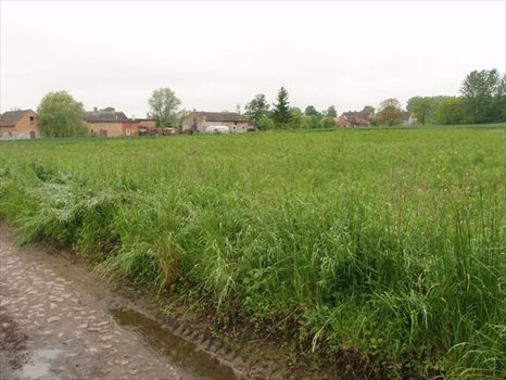 Działka budowlana na sprzedaż Pyrzyce 1 256m2 Foto 4