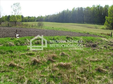 Działka budowlana na sprzedaż Sitno 3 053m2 Foto 3