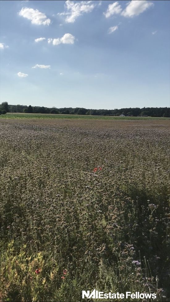 Działka rolna na sprzedaż Lipnica 12 471m2 Foto 4