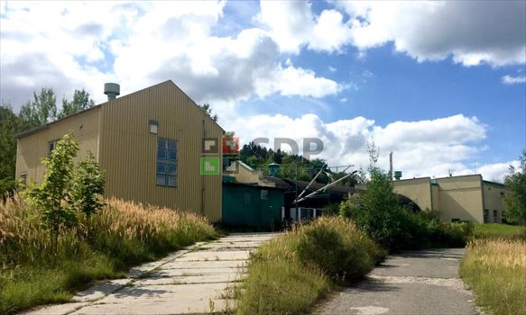 Lokal użytkowy na sprzedaż Witoszów Dolny 1 000m2 Foto 2