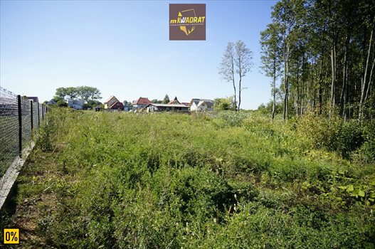 Działka rekreacyjna na sprzedaż Barany 3 001m2 Foto 3