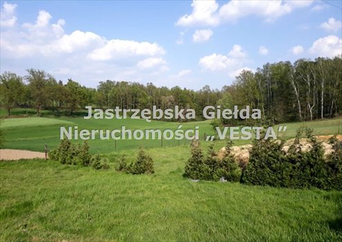 Działka inna na sprzedaż Jastrzębie-Zdrój, Ruptawa 980m2 Foto 5