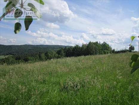 Działka budowlana na sprzedaż Nowy Sącz 26 700m2 Foto 2