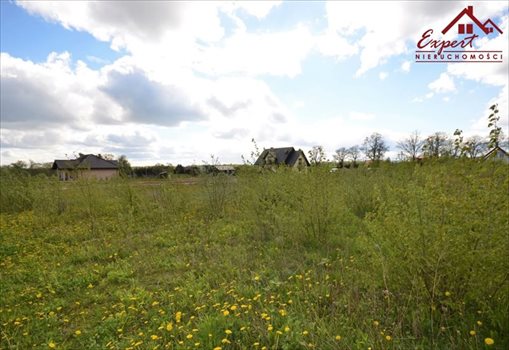 Działka inna na sprzedaż Kajkowo 1 009m2 Foto 3