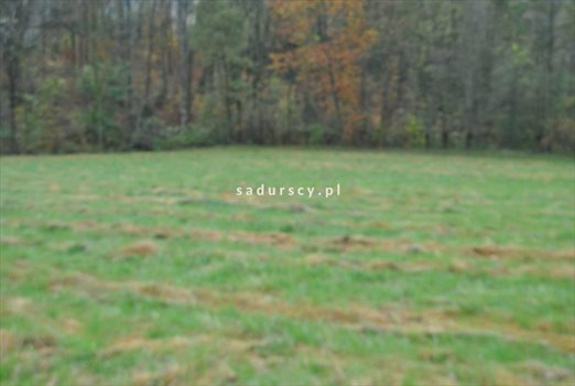 Działka budowlana na sprzedaż Siercza 4 700m2 Foto 2