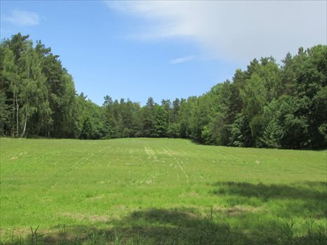 Działka rolna na sprzedaż Łagówek 16 100m2 Foto 6