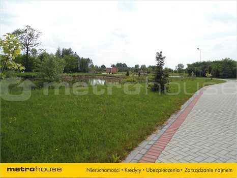 Działka siedliskowa na sprzedaż Kołata, Pobiedziska 13 737m2 Foto 3