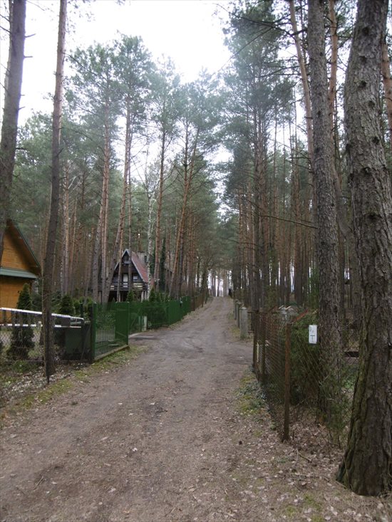 Działka budowlana na sprzedaż Skubianka, Korzenna 983m2 Foto 5
