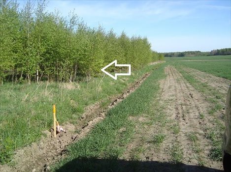 Działka rekreacyjna na sprzedaż Gogolewo 1 572m2 Foto 4