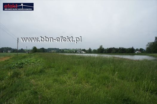 Działka budowlana na sprzedaż Międzyrzecze Dolne 4 959m2 Foto 7