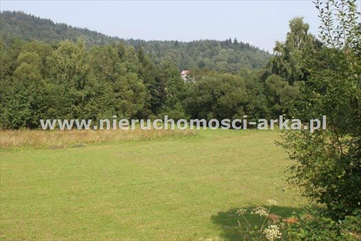 Działka budowlana na sprzedaż Gruszowiec 3 400m2 Foto 12