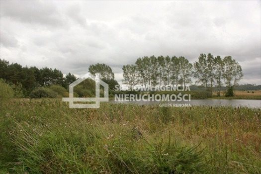 Działka budowlana na sprzedaż Cecenowo 62 000m2 Foto 3