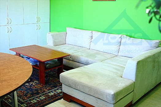 Lokal użytkowy na sprzedaż Nowy Konik 2 300m2 Foto 8