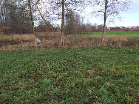 Działka inna na sprzedaż Rajgród 3 000m2 Foto 2