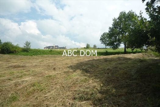 Działka budowlana na sprzedaż Mogilany, Mogilany 4 100m2 Foto 6