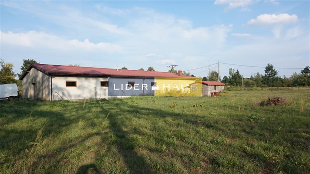 Lokal użytkowy na sprzedaż Kazuń Nowy 401m2 Foto 13