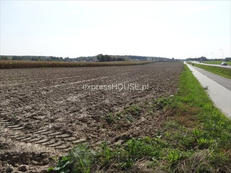 Działka budowlana na sprzedaż Łęczna, Krasnystawska 15 700m2 Foto 1