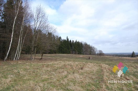 Działka inna na sprzedaż Cerkiewnik 3 024m2 Foto 4