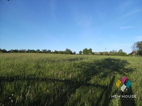 Działka budowlana na sprzedaż Nikielkowo, Dębowa 1 260m2 Foto 8