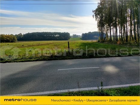 Działka inna na sprzedaż Czyżemin, Dłutów 1 359m2 Foto 2