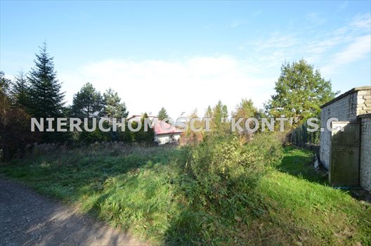 Działka budowlana na sprzedaż Krzywaczka 2 300m2 Foto 6