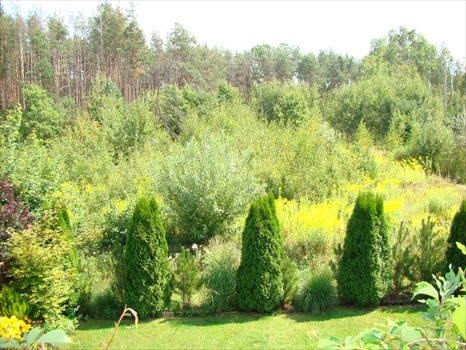 Dom na sprzedaż Henryków-Urocze, Różana 13a 150m2 Foto 12