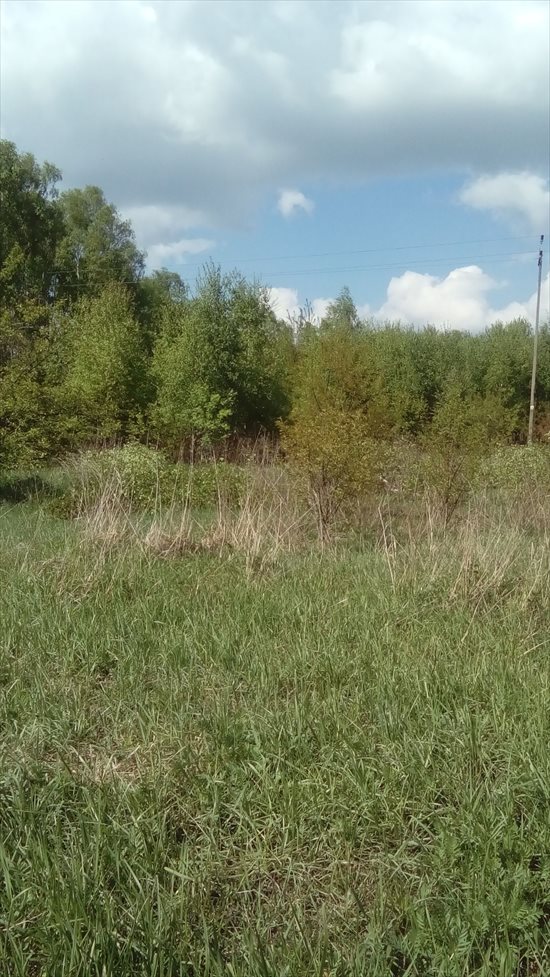 Działka rolna na sprzedaż Łódź, Widzew, Opolska 14 997m2 Foto 11