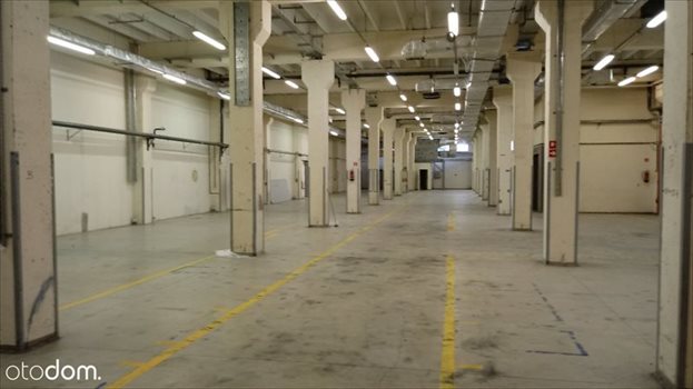 Lokal użytkowy na wynajem BEZPOSRENIO - Magazyn Białystok 2700 m2 - wys. 11m 2 700m2 Foto 6