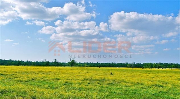 Działka budowlana na sprzedaż Białystok, Dojlidy Górne 1 060m2 Foto 1