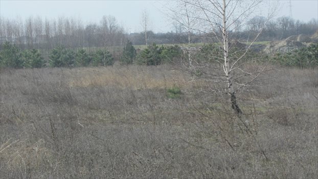 Działka budowlana na sprzedaż Wysocko Wielkie, rejon ul. Wylotowej 9 321m2 Foto 2